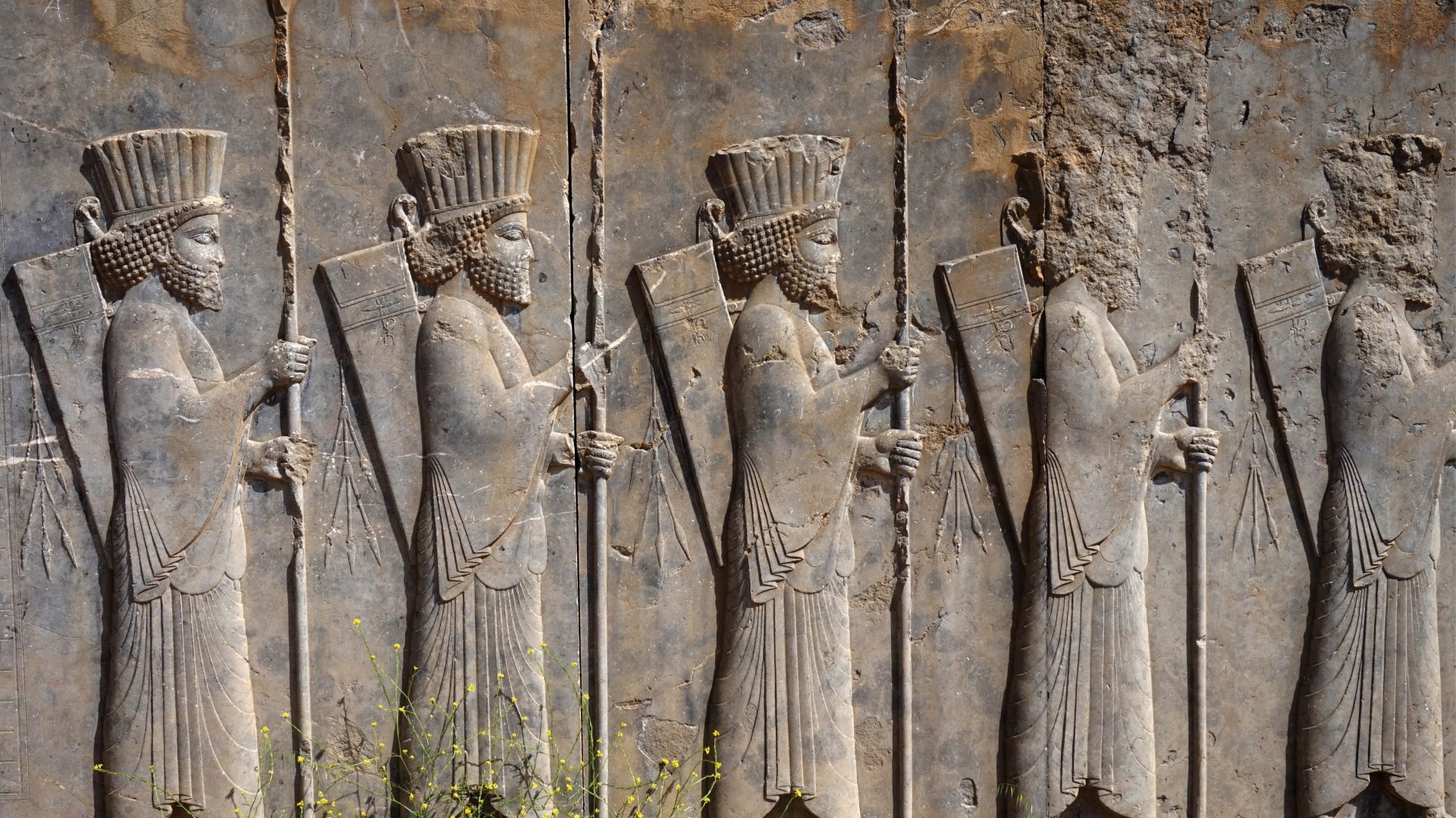 persepolis iran bezoeken