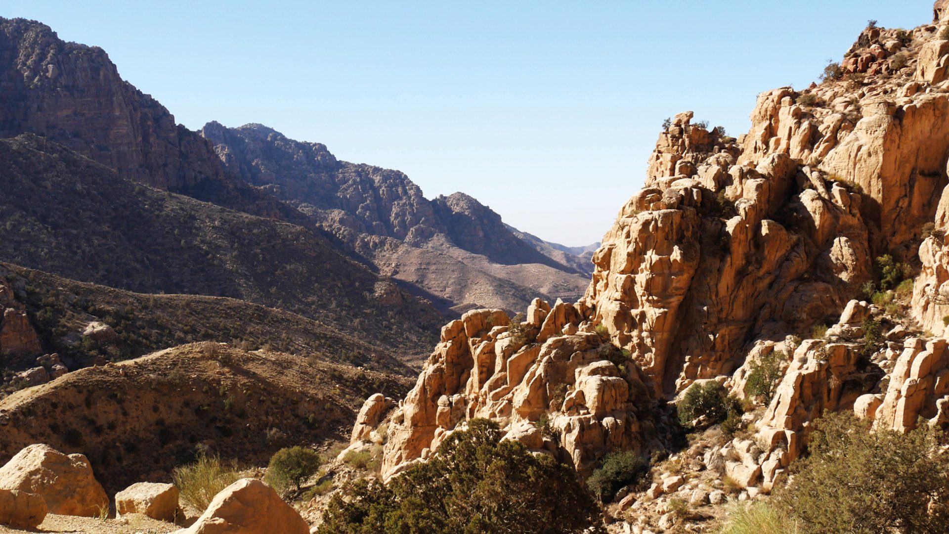 dana natuurreservaat jordanie