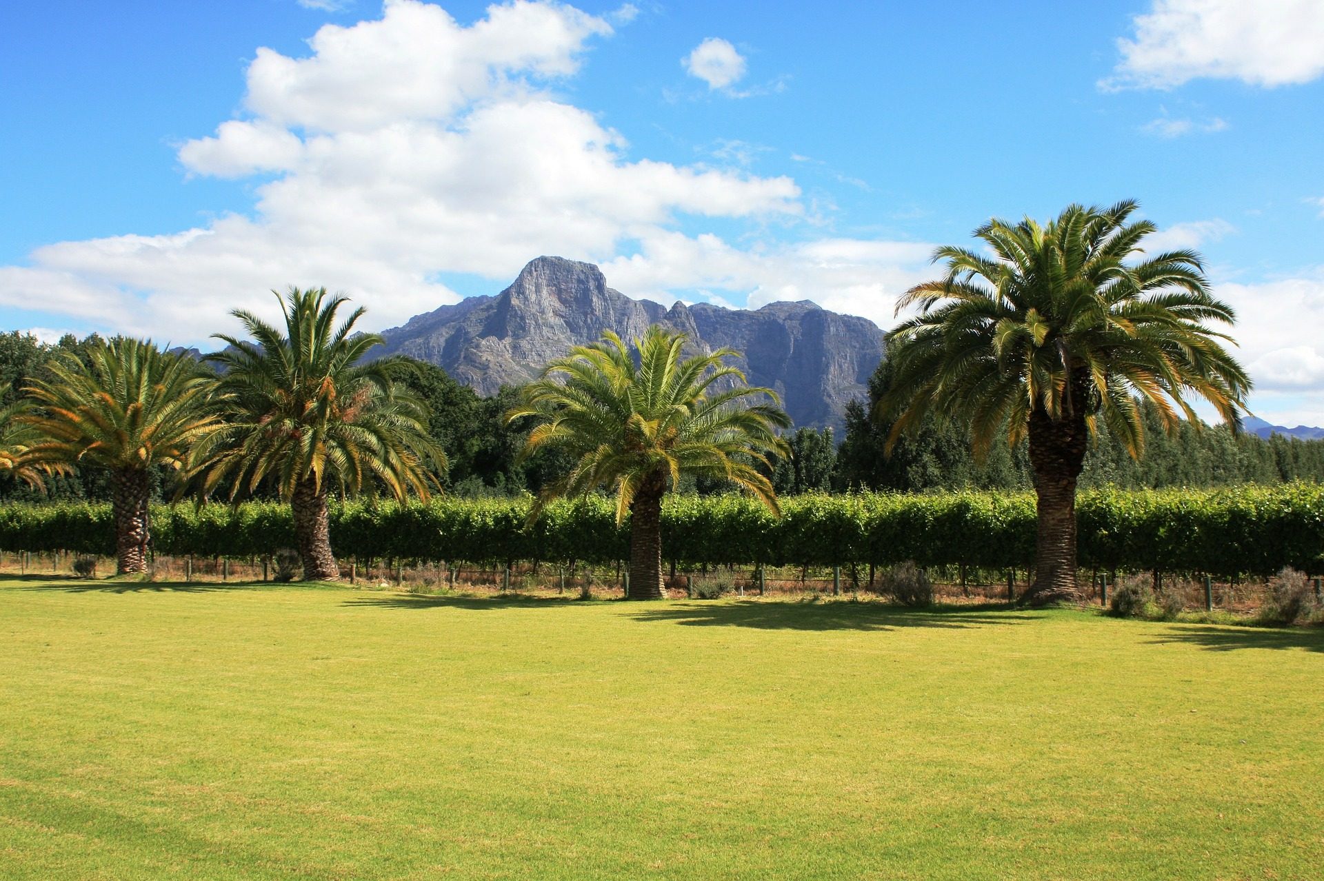franschhoek-hotels-zuid-afrika