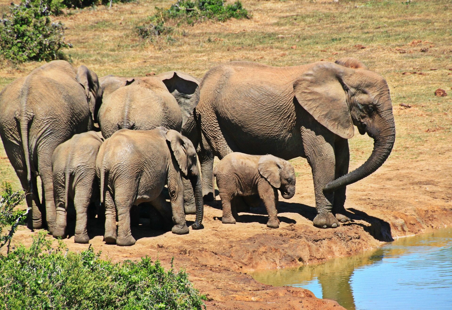 hazyview-hotels-zuid-afrika