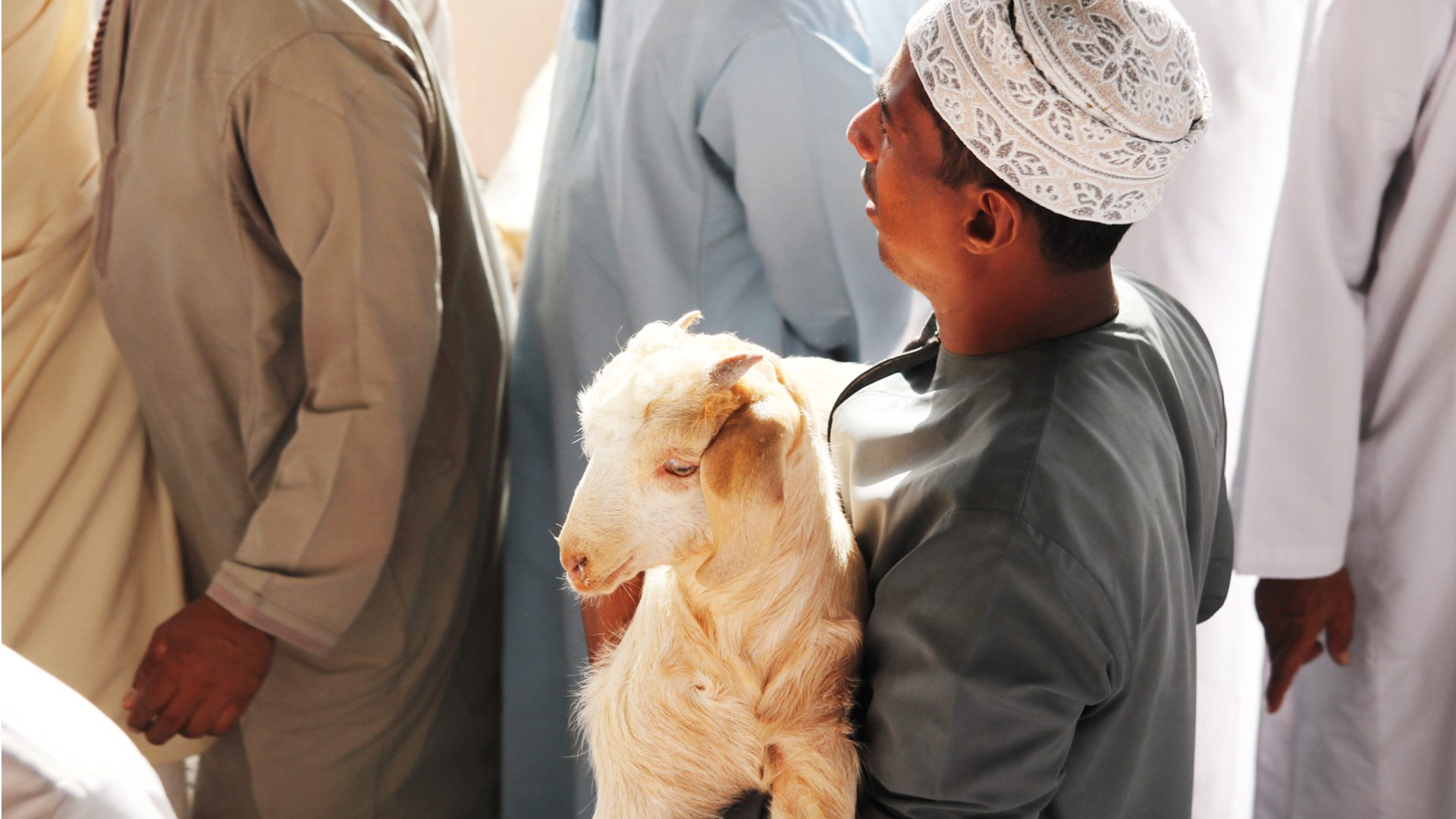 nizwa geitenmarkt