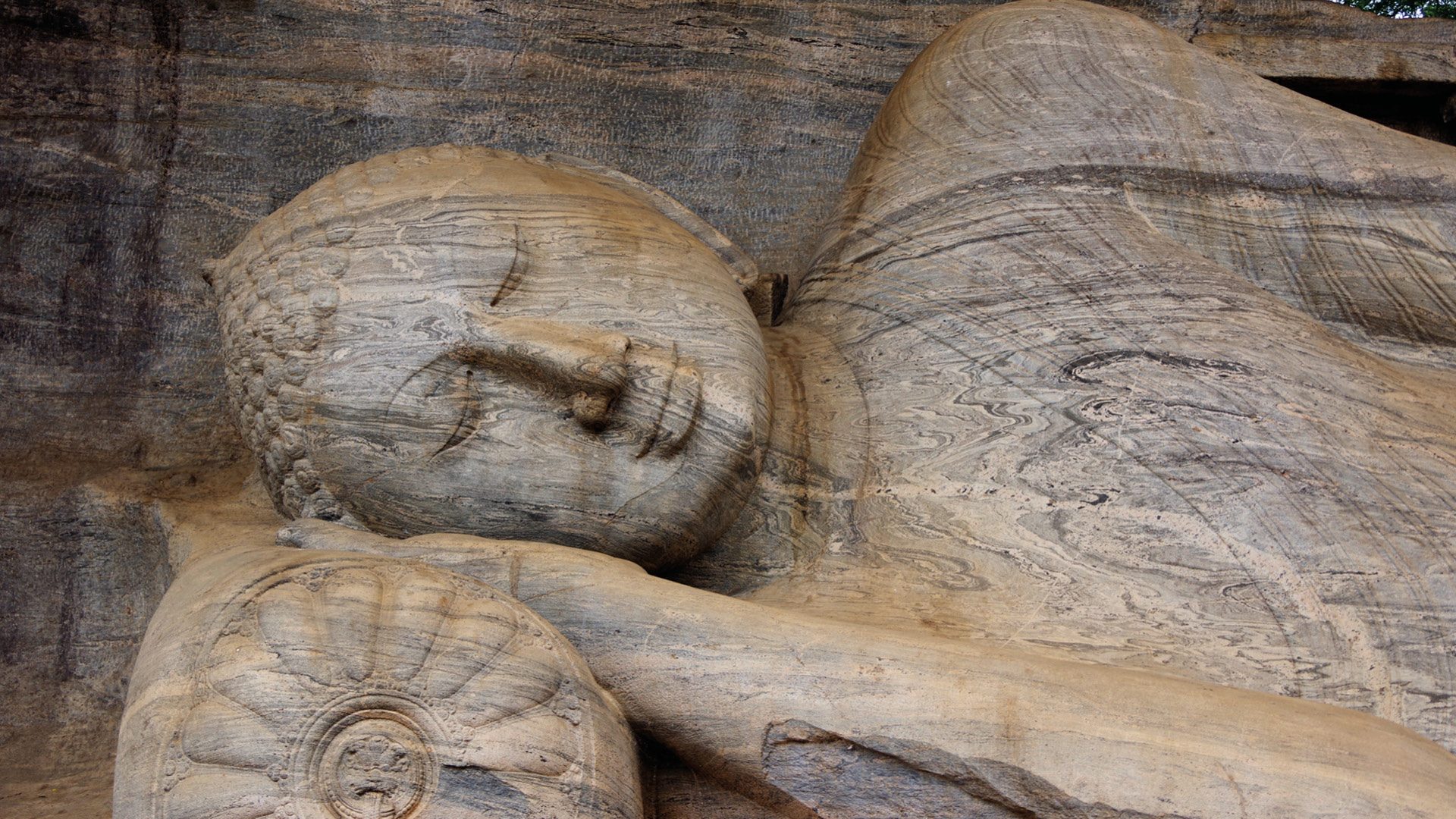 polonnaruwa sri lanka entreeprijs