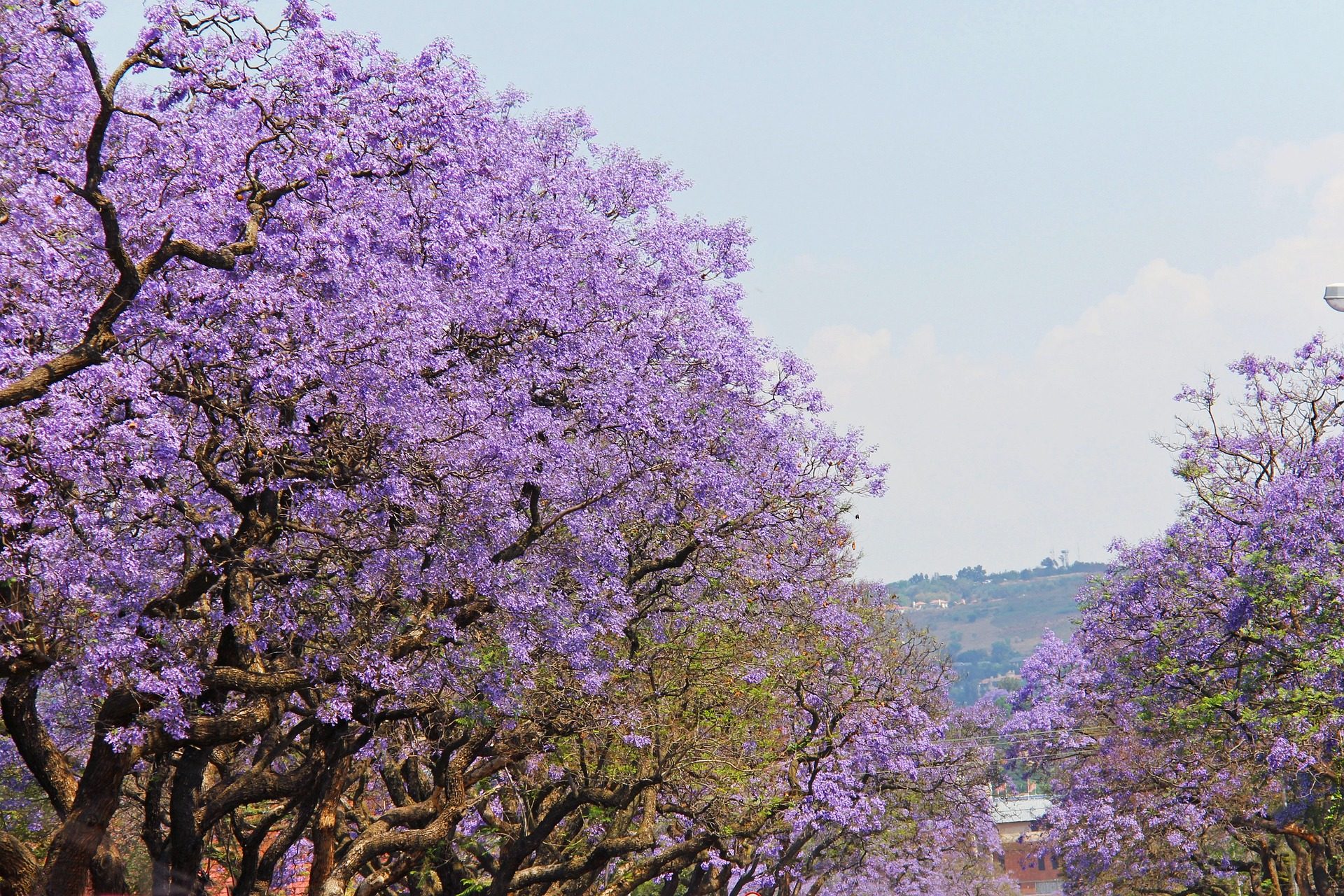 pretoria-hotels-zuid-afrika