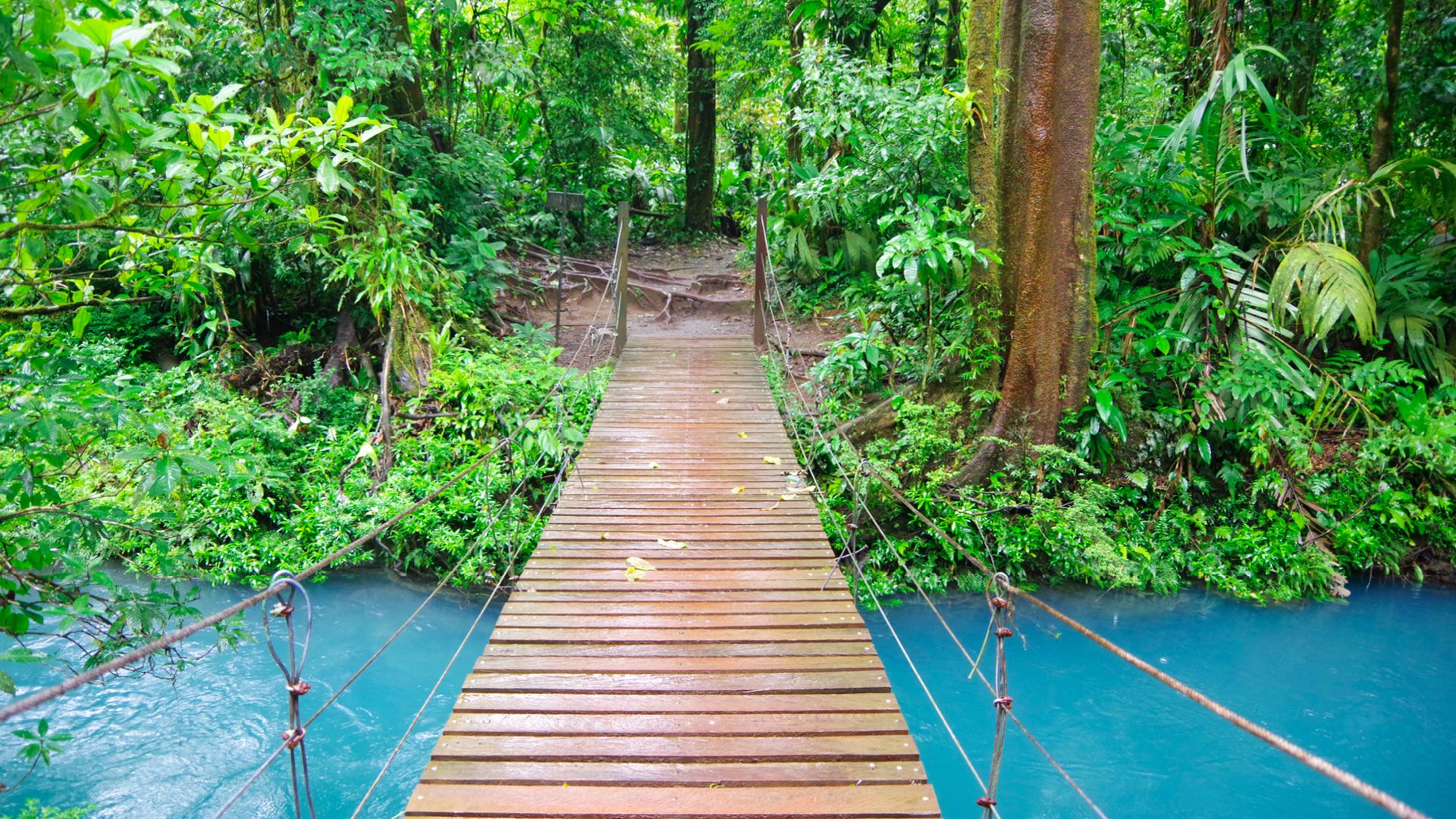 rio de celeste costa rica