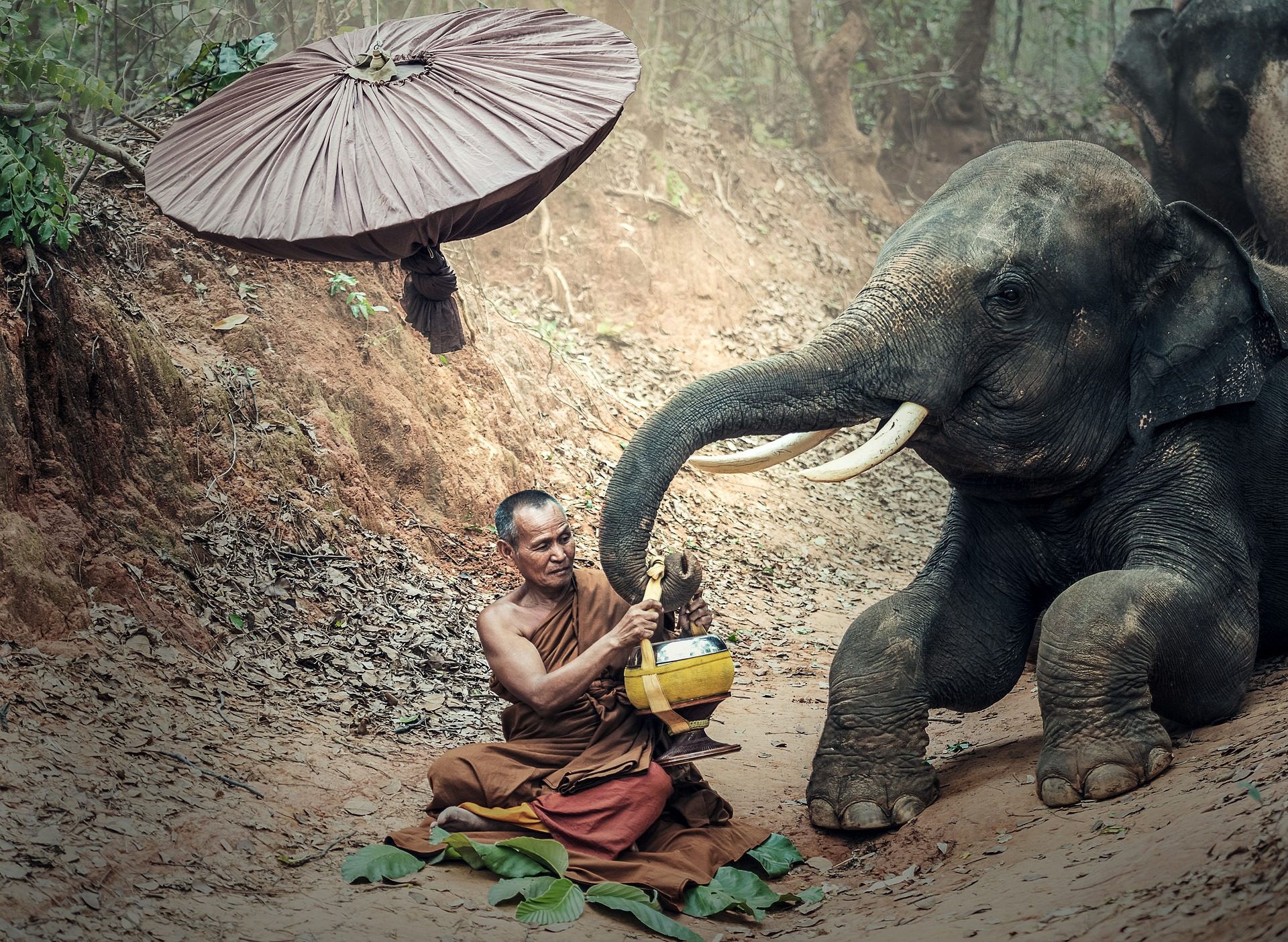 sen-monourom-hotels-cambodja