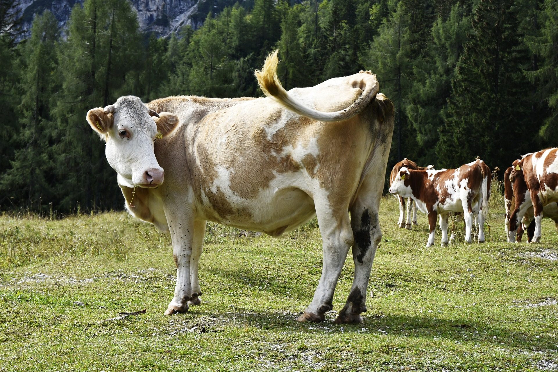 slovenie-podcetrtek-overnachten