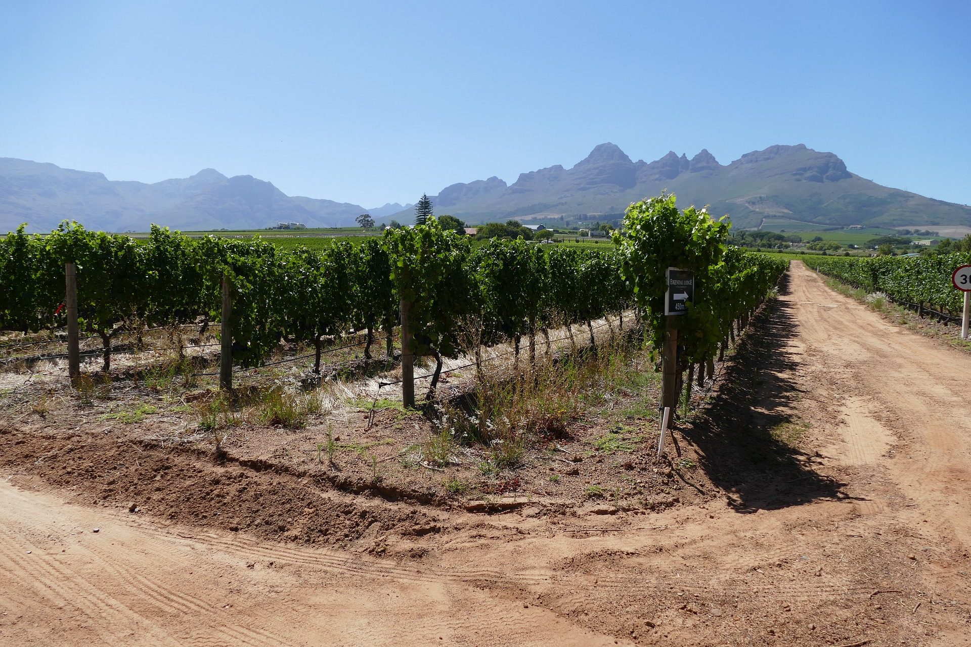 stellenbosch-hotels-zuid-afrika