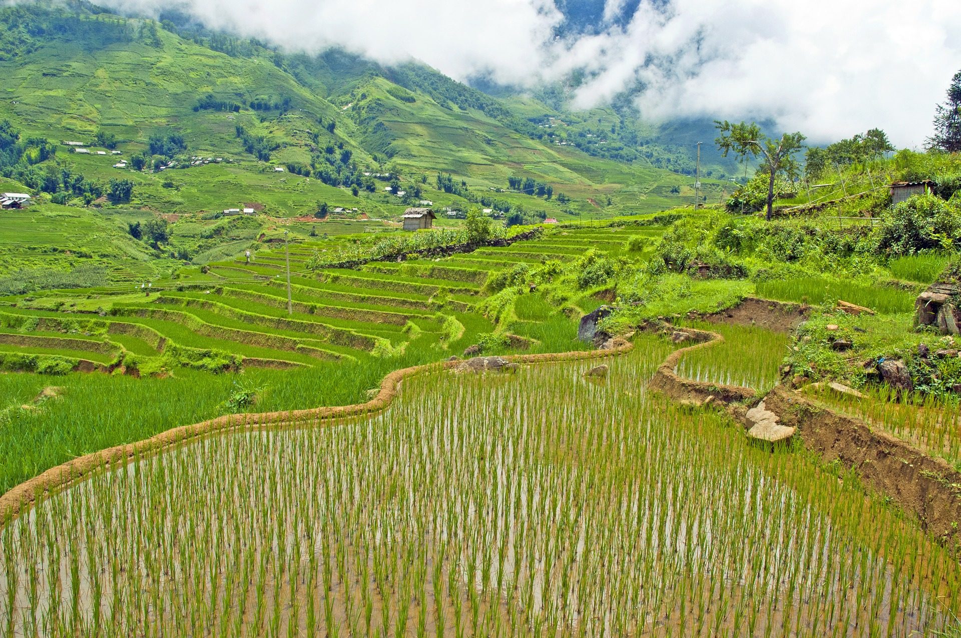 vietnam_sapa_hotels