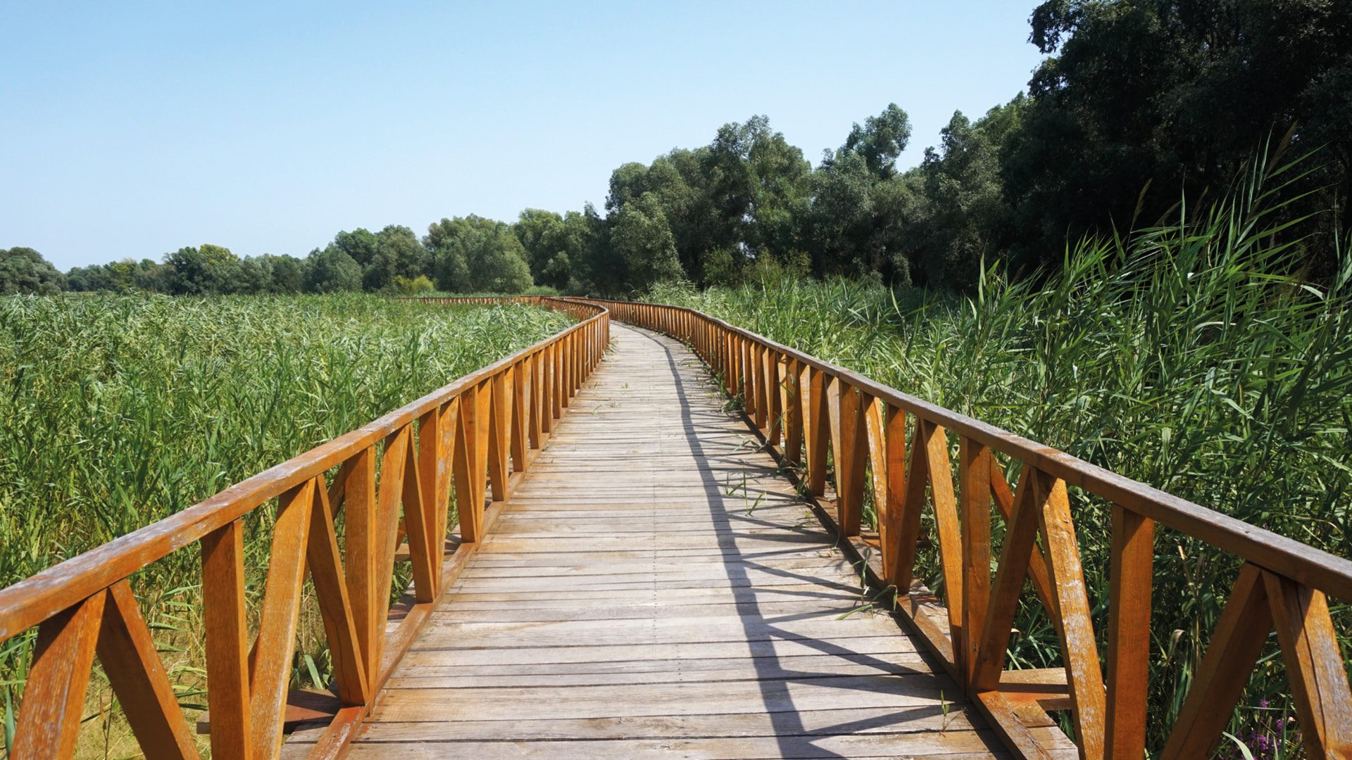 Kopački Rit kroatie nationaal park