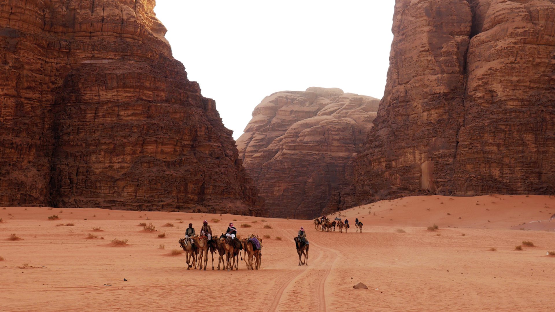 wadi rum woestijn in jordanië