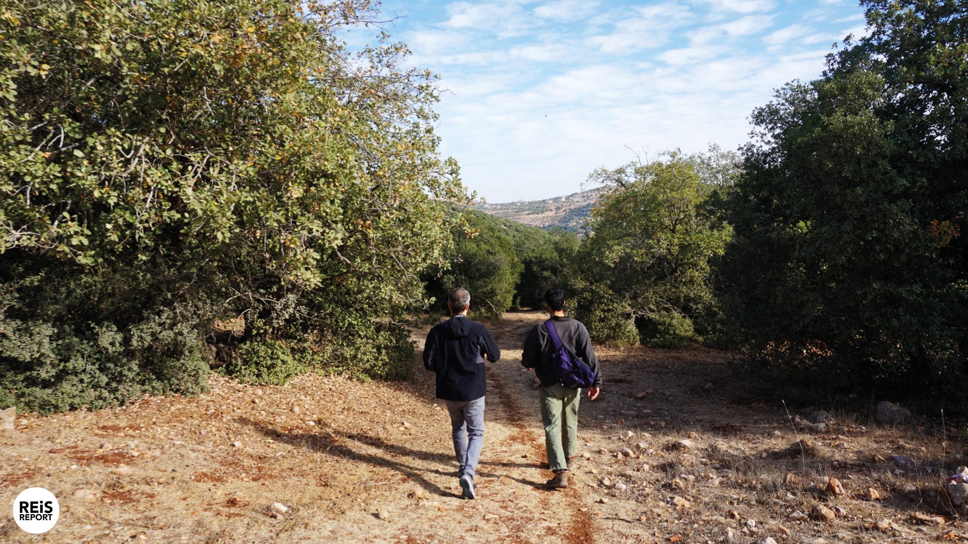 ajlun jordan hiking trail