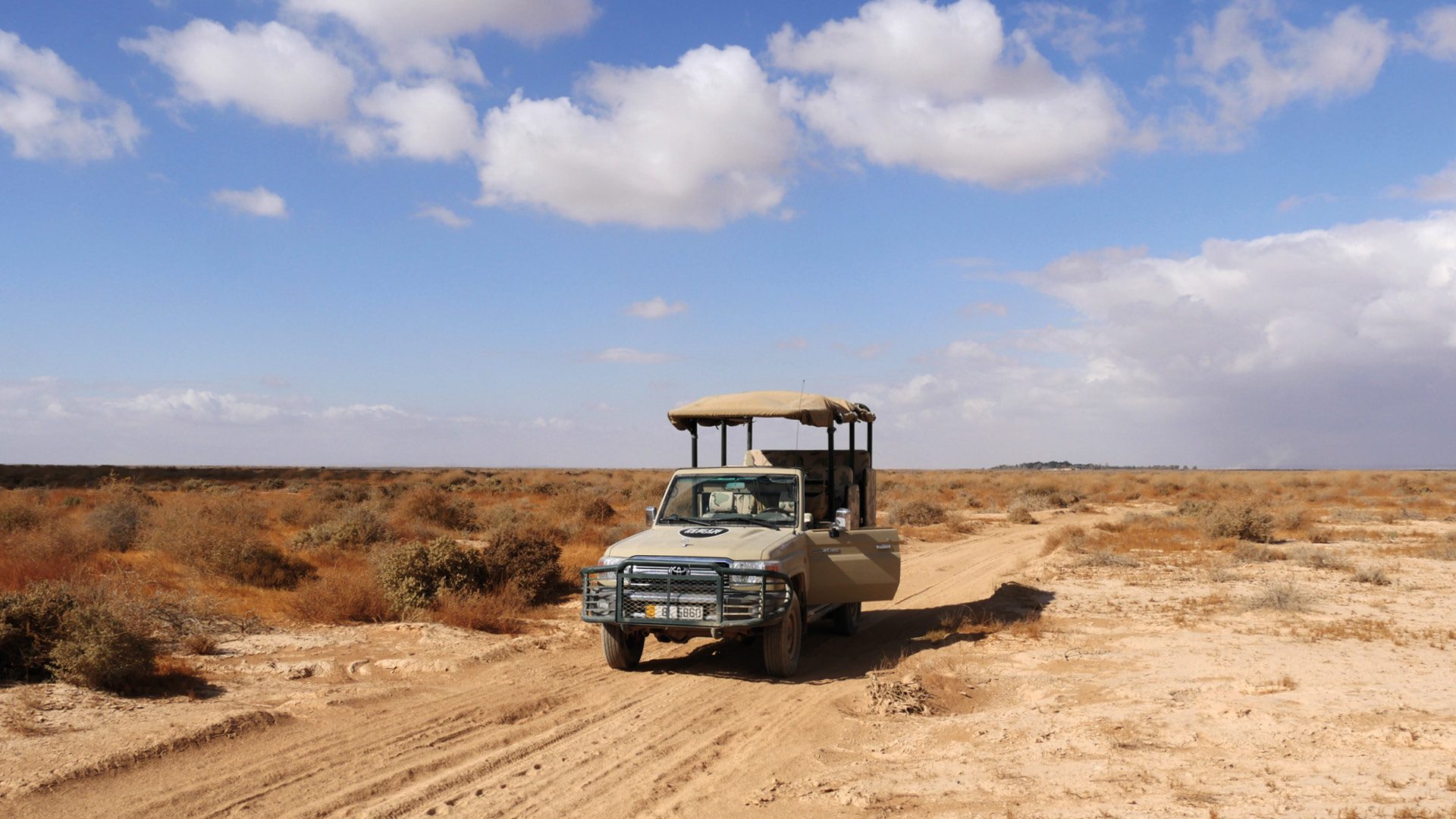 azraq wetland reserve