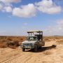 azraq wetland reserve