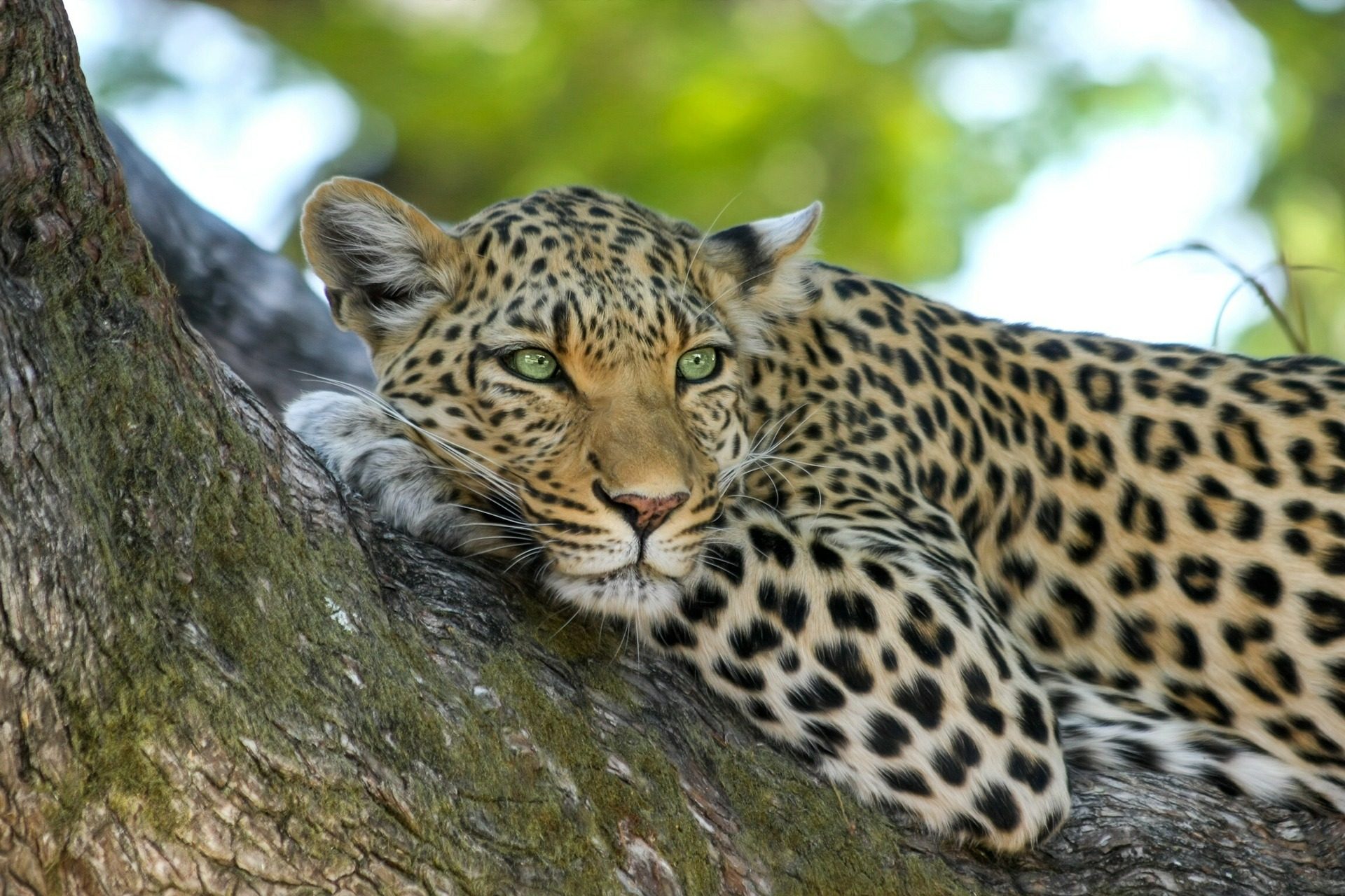rondreis-botswana
