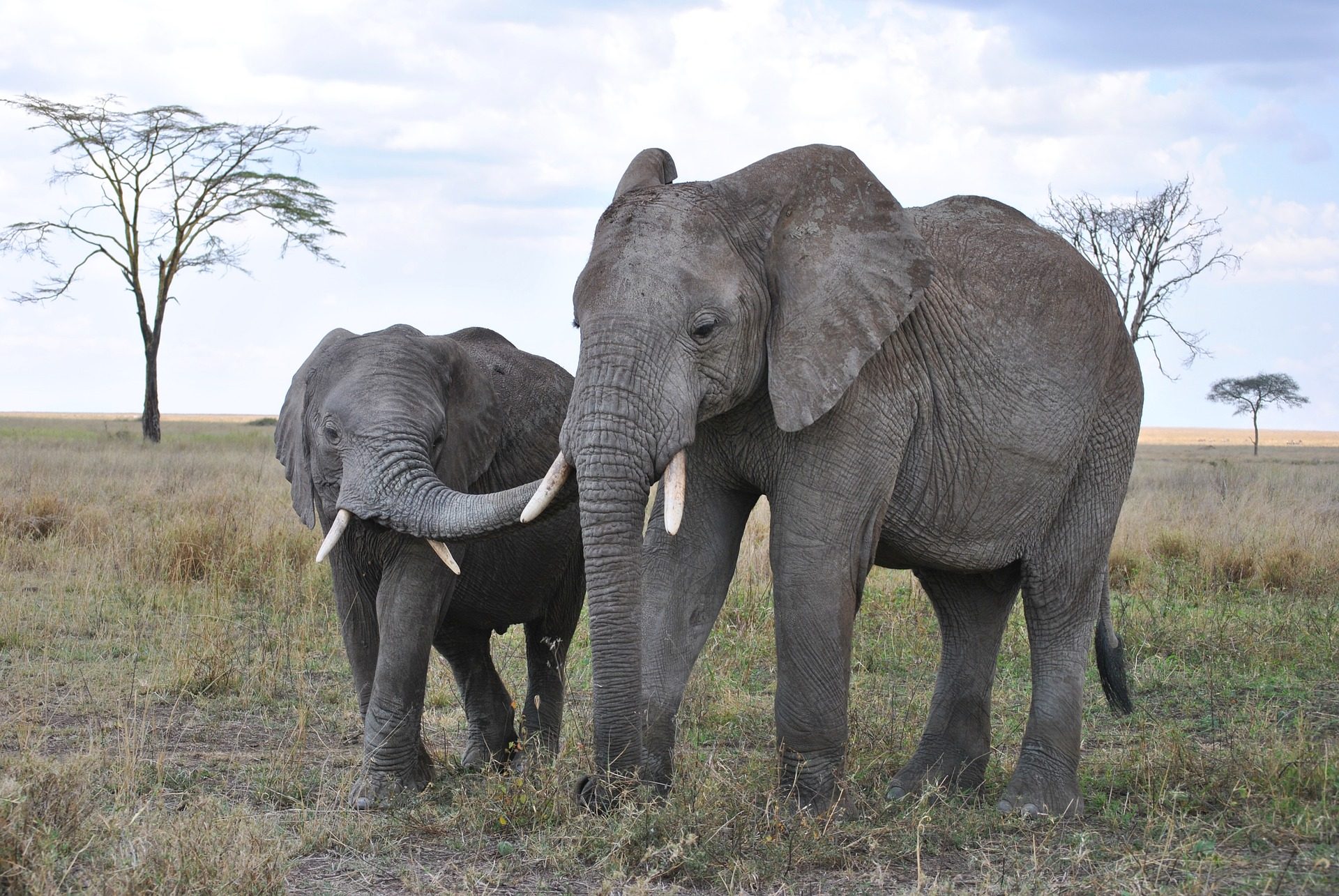 rondreis-tanzania