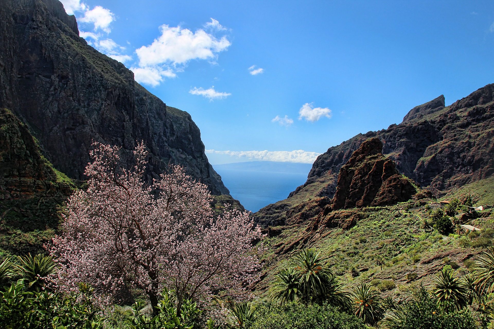 rondreis-tenerife