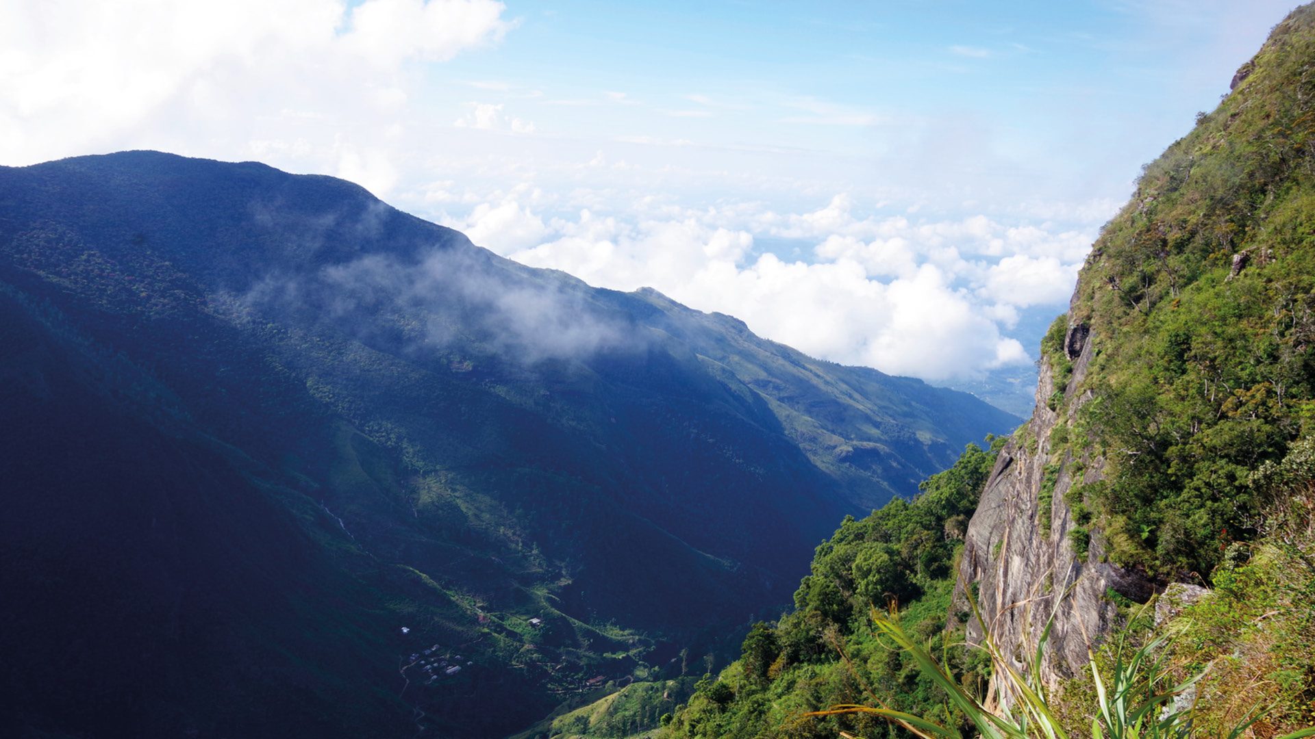 horton plains world end sri lanka wandeling