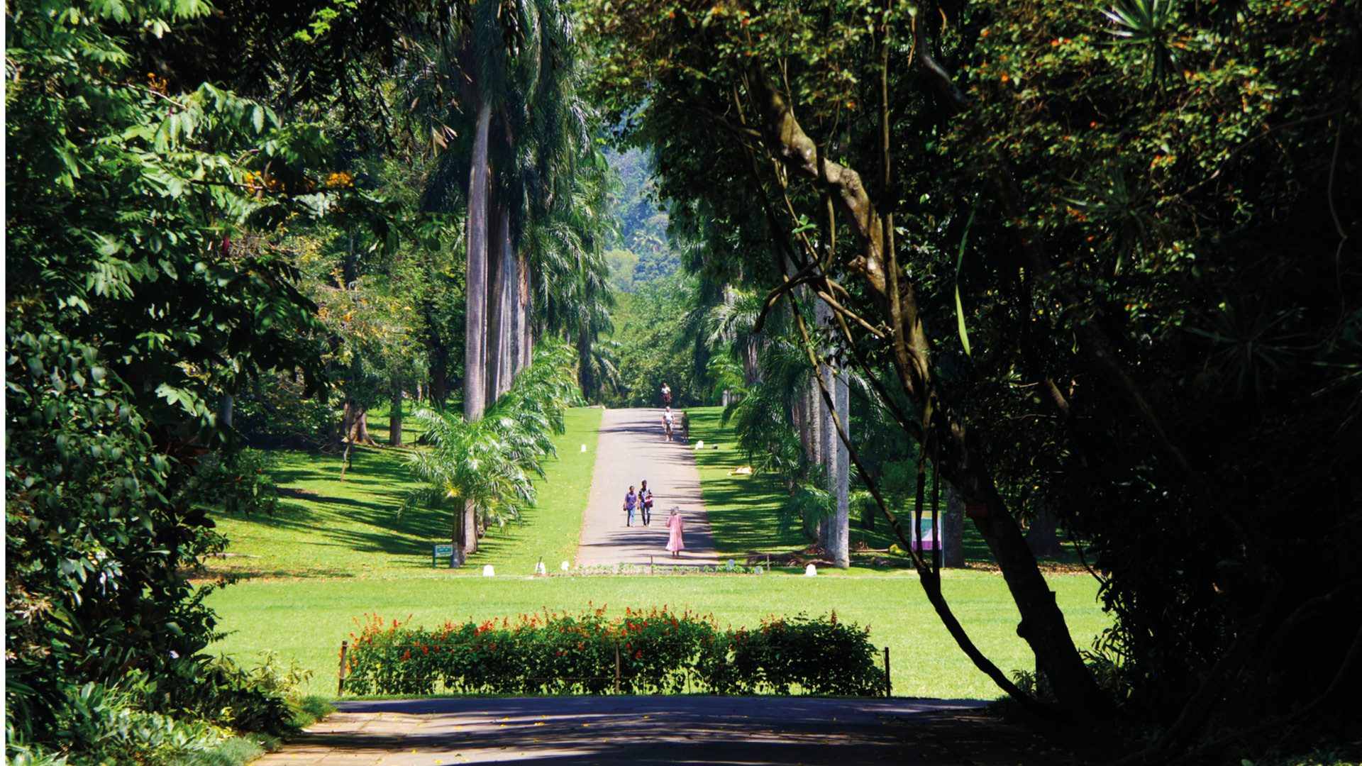 kandy bezienswaardigheden sri lanka