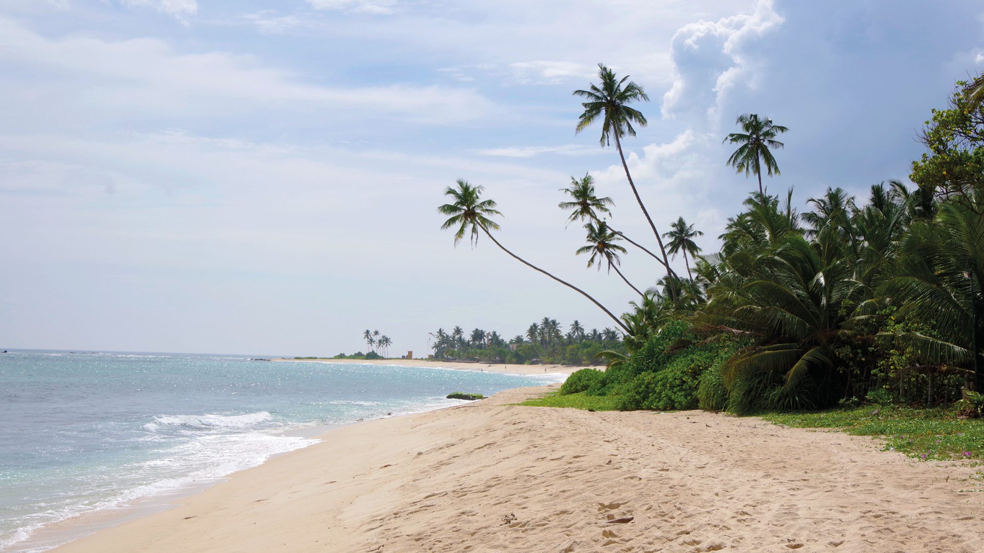 mirissa sri lanka bezienswaardigheden