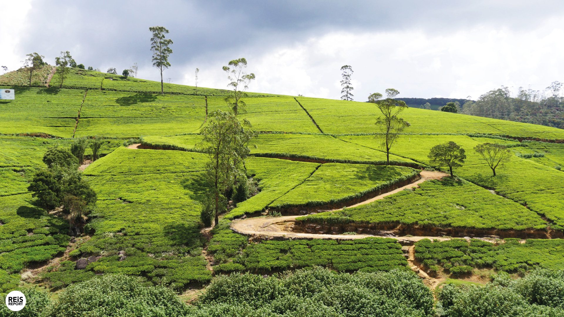 nuwara eliya bezienswaardigheden