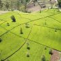 nuwara eliya sri lanka