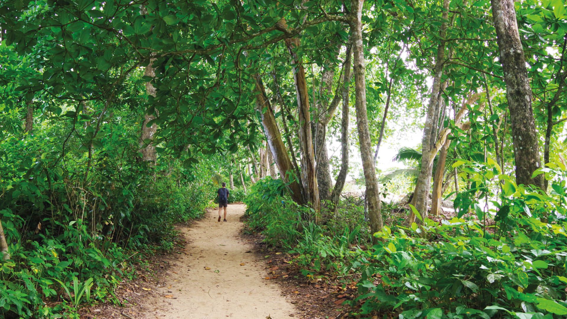 cahuita nationaal park