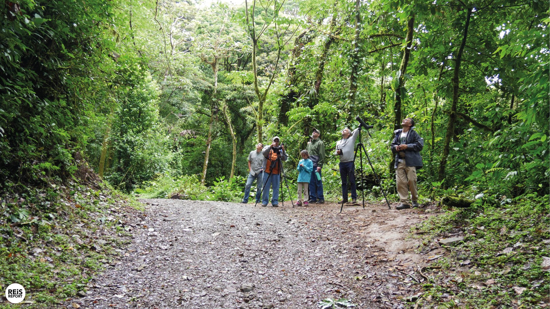 monteverde nationaal park costa rica