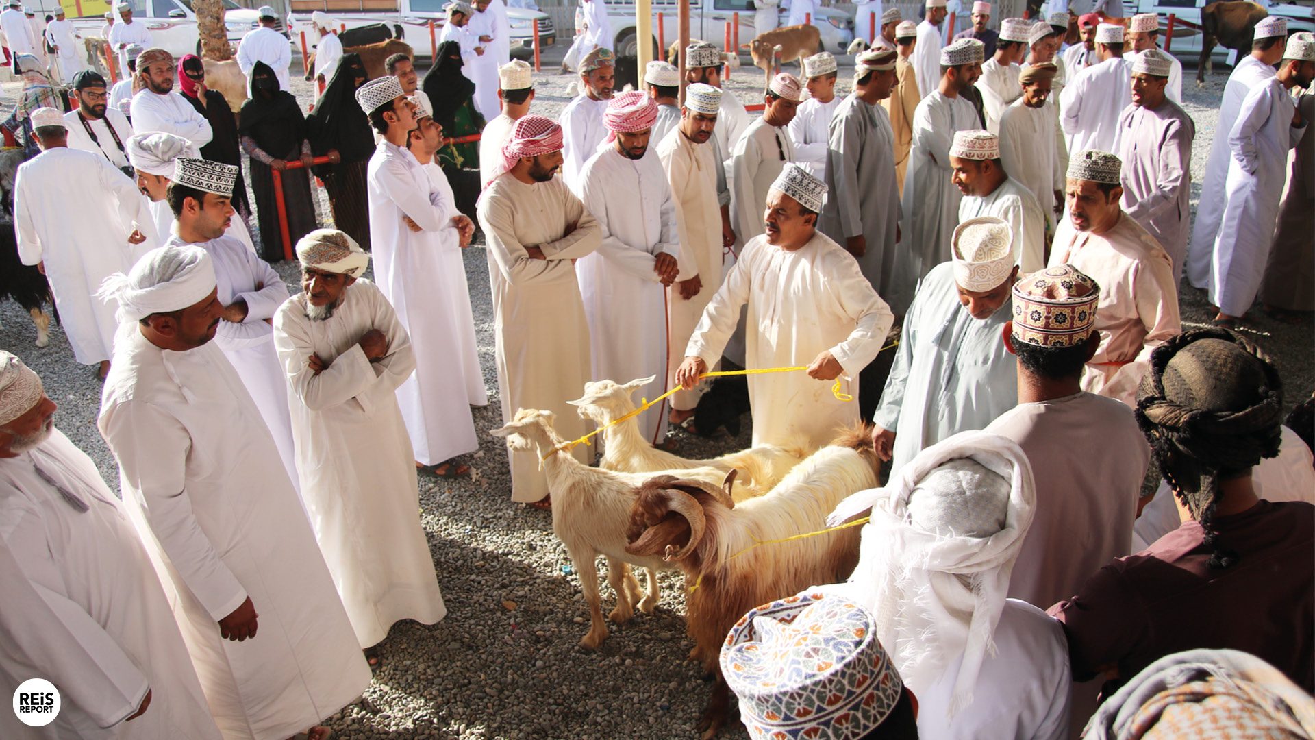 nizwa geitenmarkt