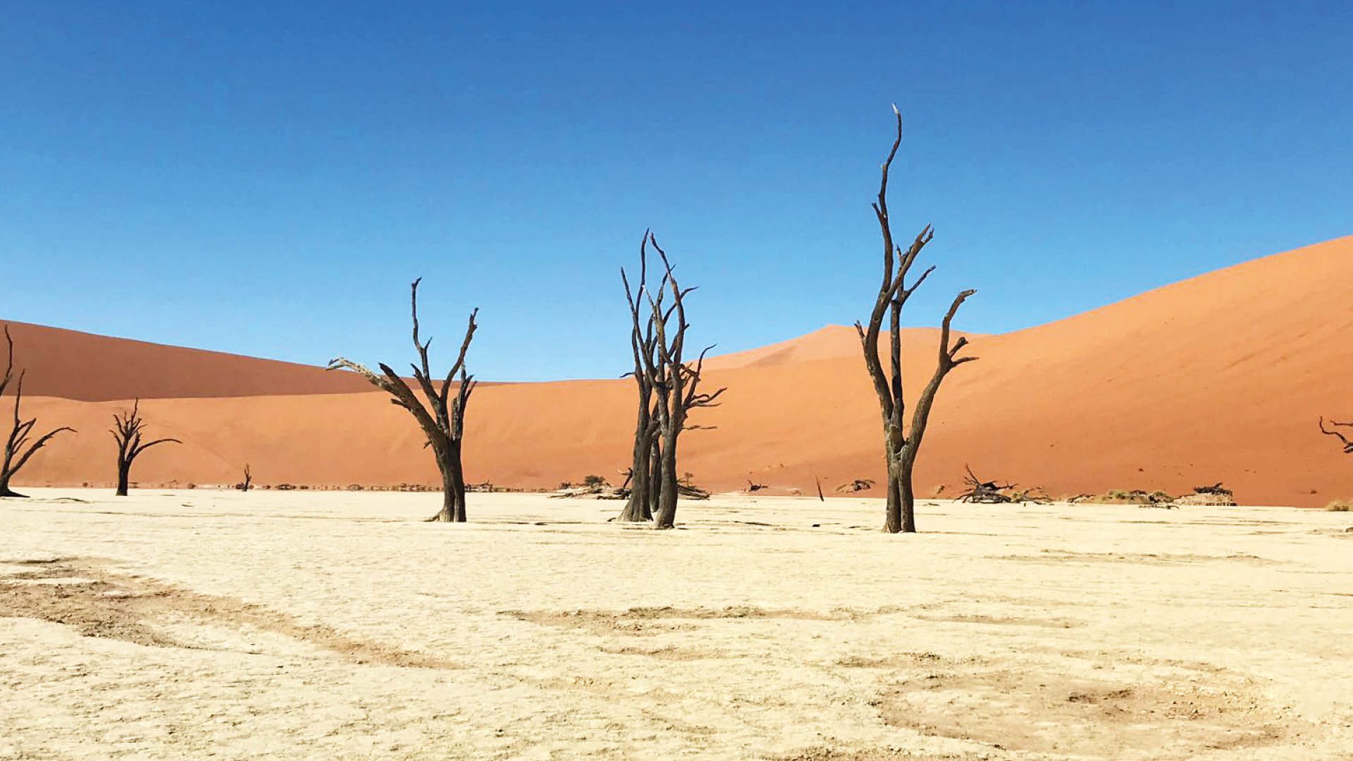 namibie hoogtepunten rondreis
