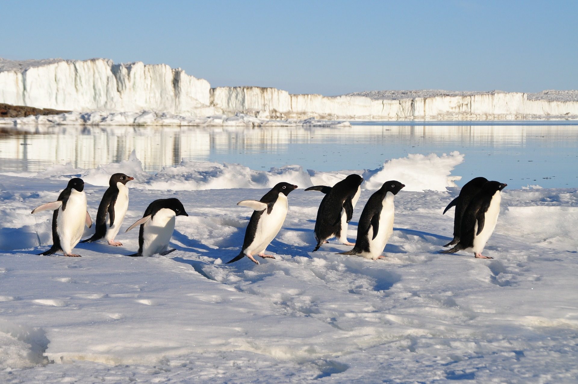 antarctica-rondreis