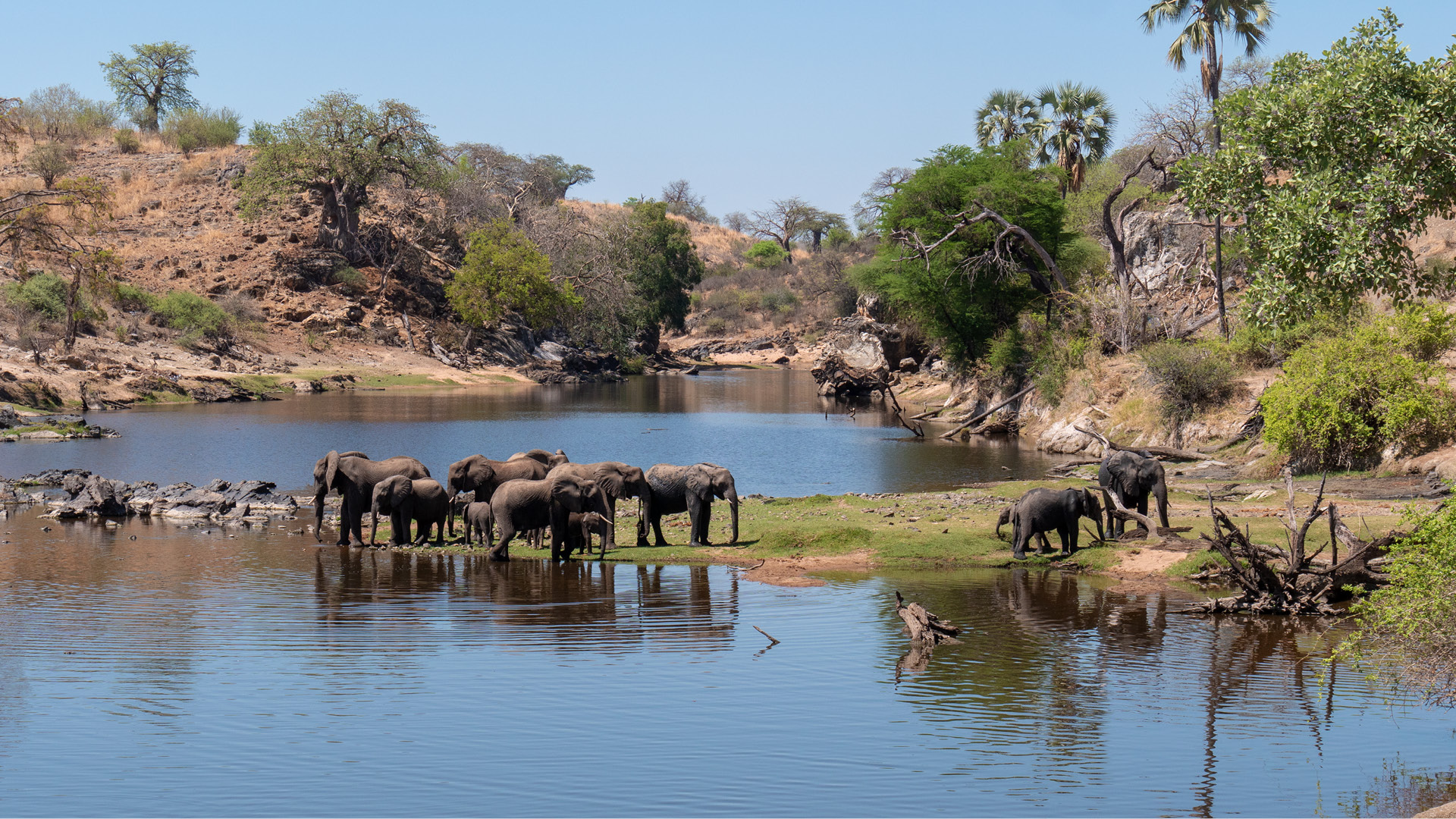 ruaha-national-park-tanzania