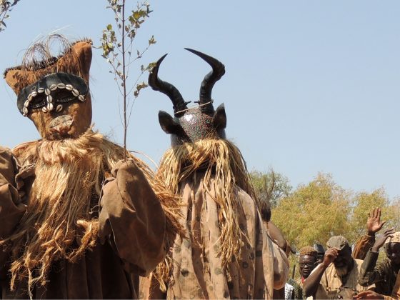 burkina-faso-reizen-papillon