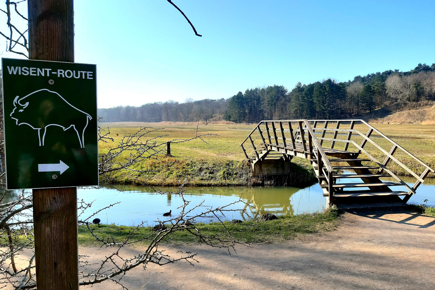 zuid-kennemerland-wisentenroute