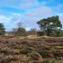 drentsche-aa-wandelen