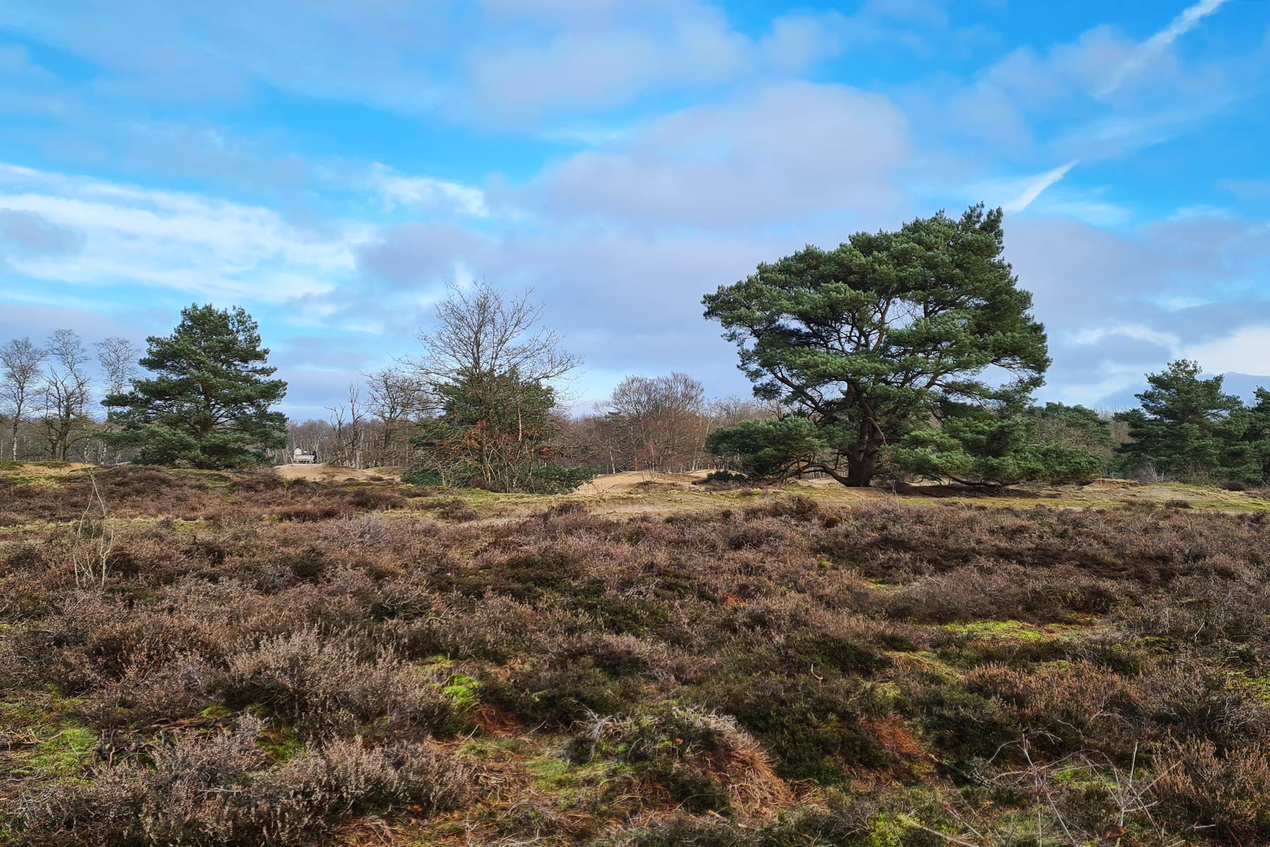 drentsche-aa-wandelen