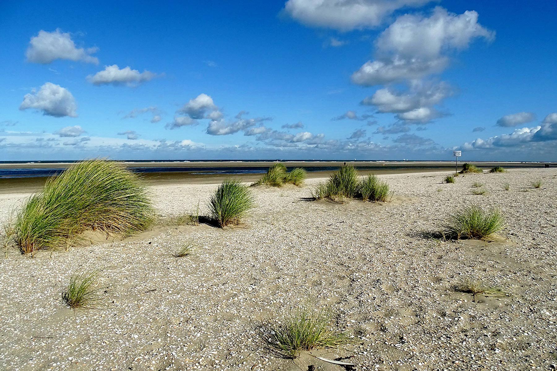 kijkduin-zandmotor-2