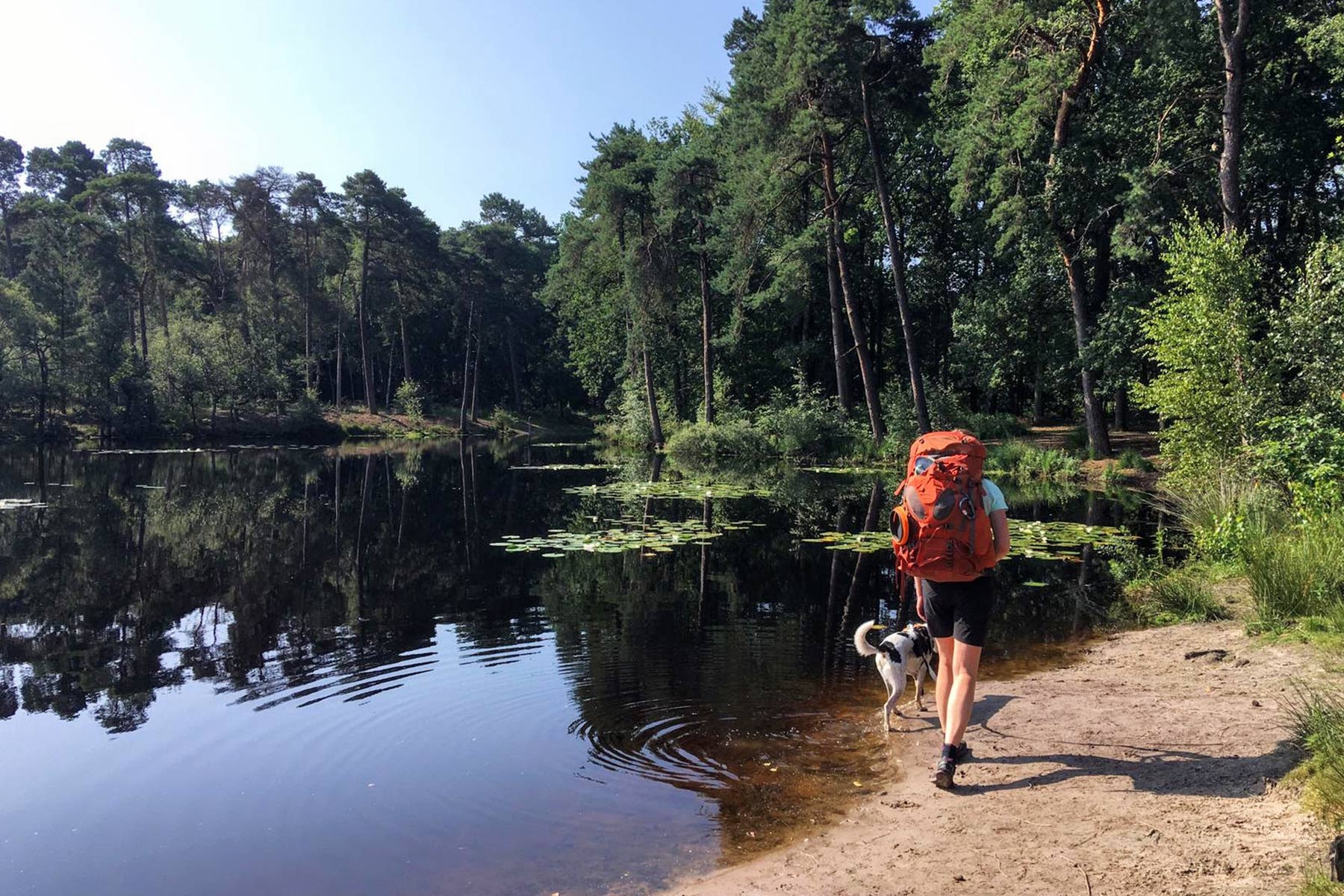 oisterwijkse-bossen-en-vennen-1