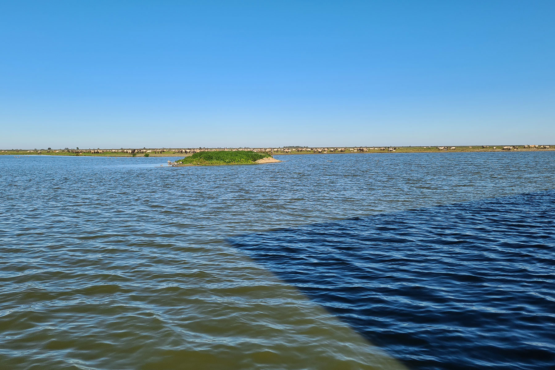 oostvaardersplassen-fietsroute-knooppunten