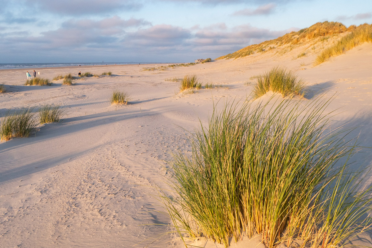 ameland-strand