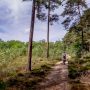 drenthe-hondsrug-wandeling