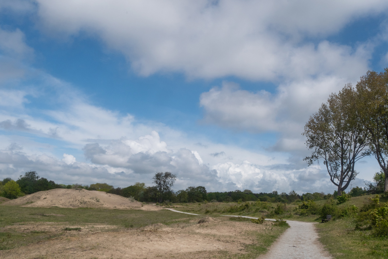 duinen-van-oostvoorne-duinen-wandeling