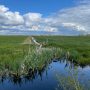 groene-hart-oortjespad-wandeling