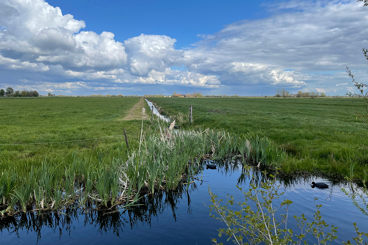 groene-hart-oortjespad-wandeling