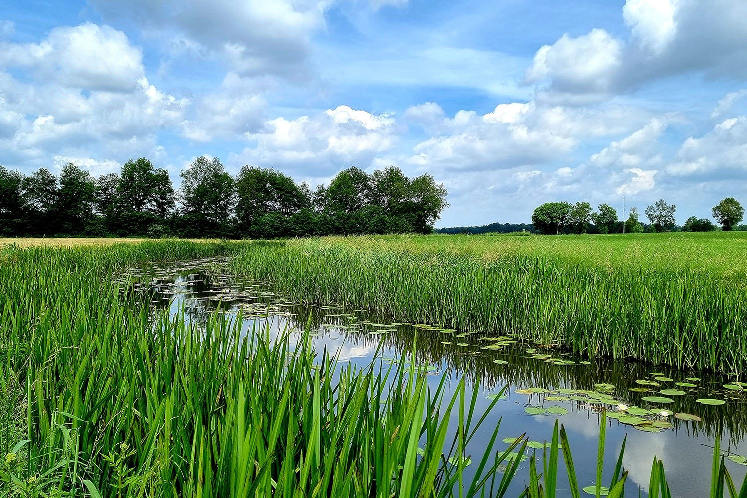 lattrop-twente-wandeling