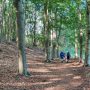 loonse-en-drunense-duinen-wandeling