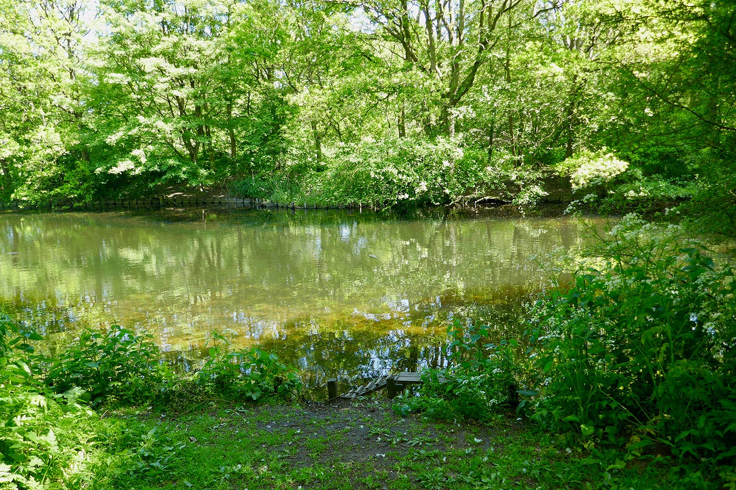 pan-van-persijn-wandeling