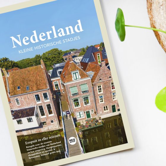 reisreport_nl_kleinehistorischestadjes_plant