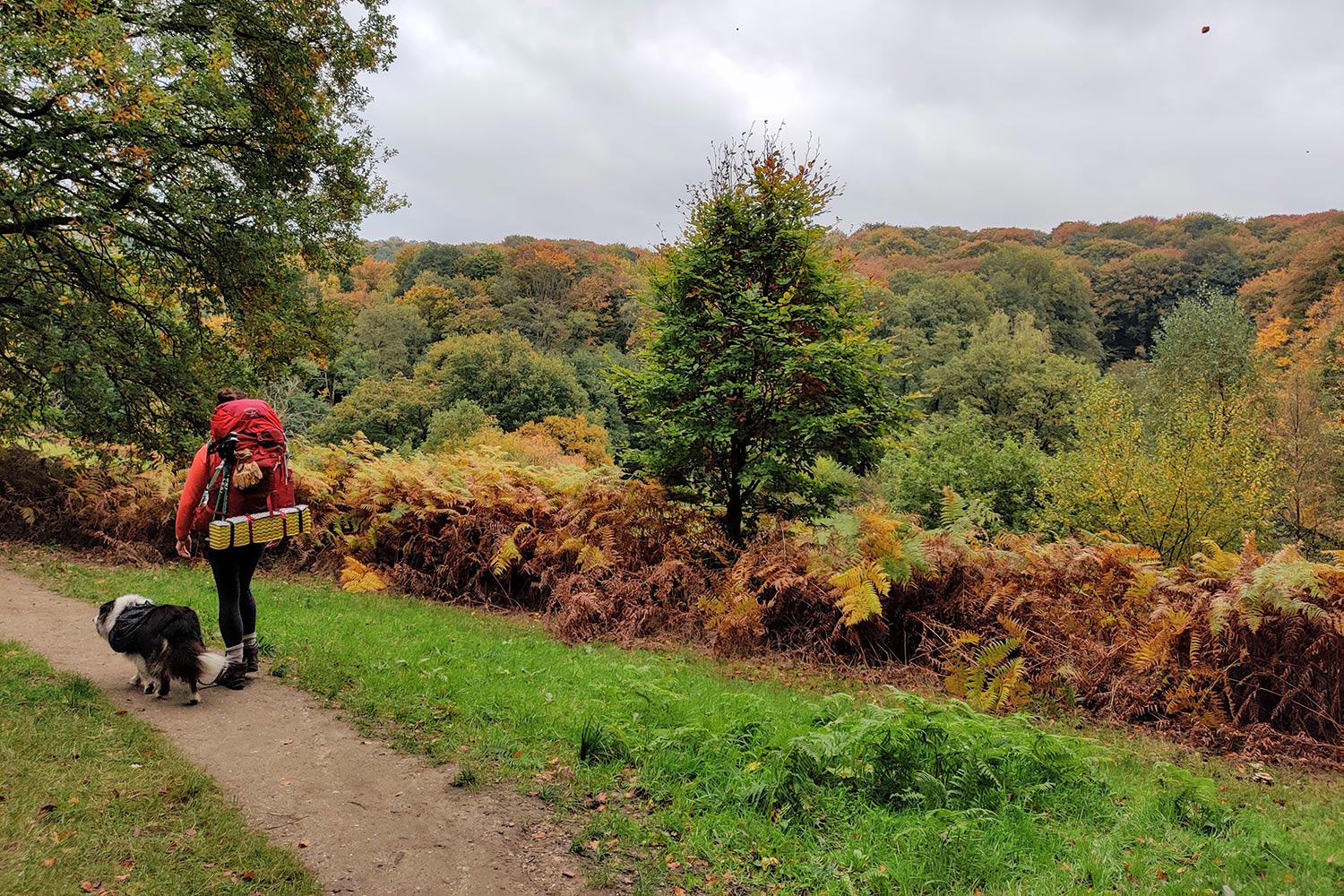 bergen-nederland-wandelen