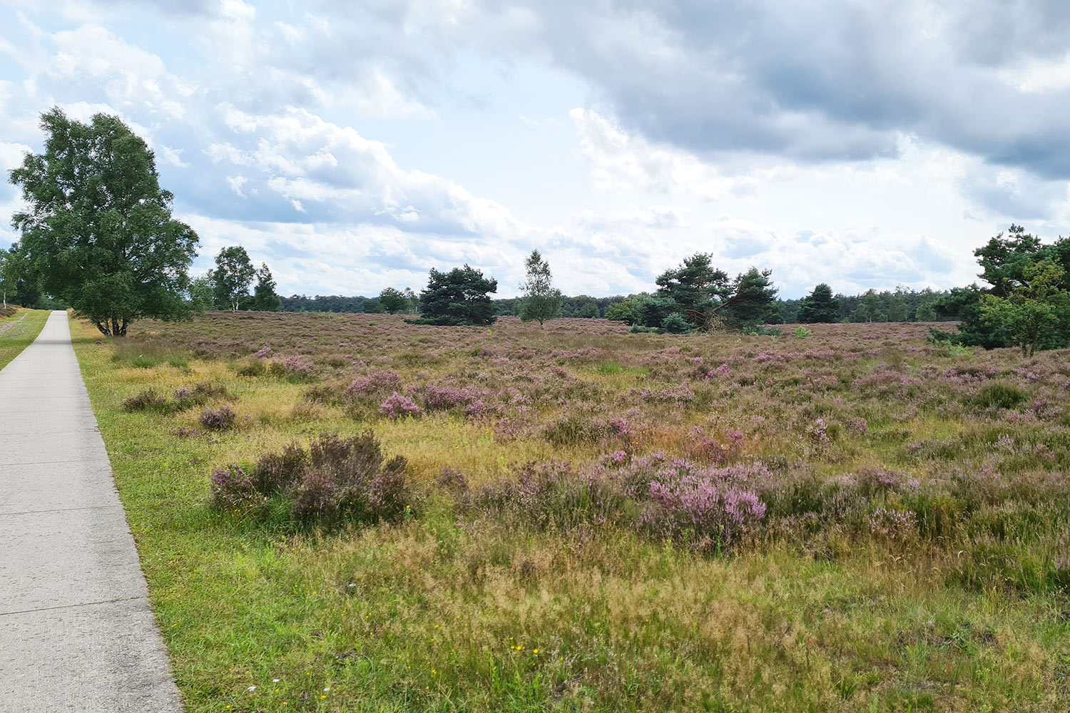 vierhouten-fietsroute