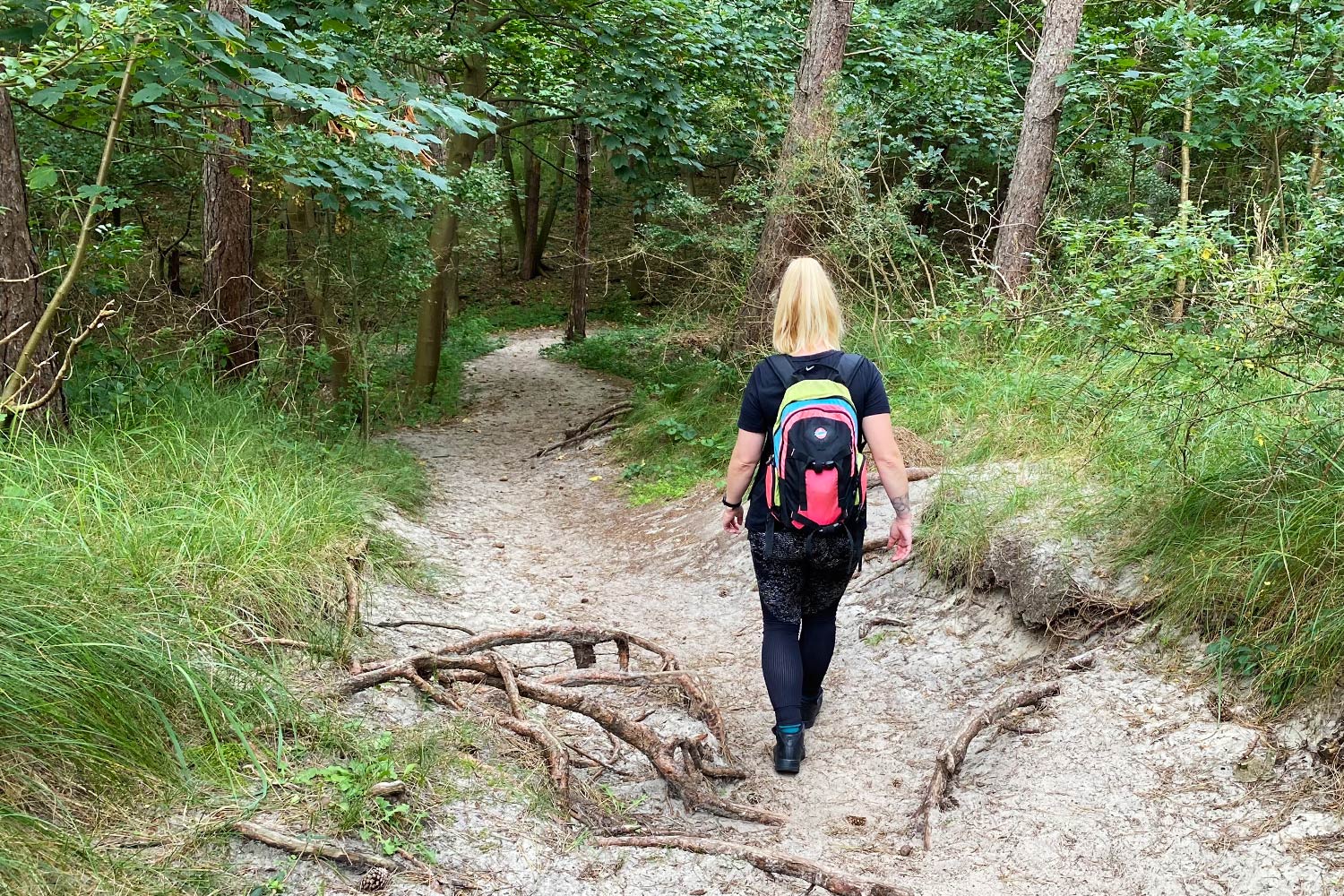 boswachterij-westerschouwen-wandeling